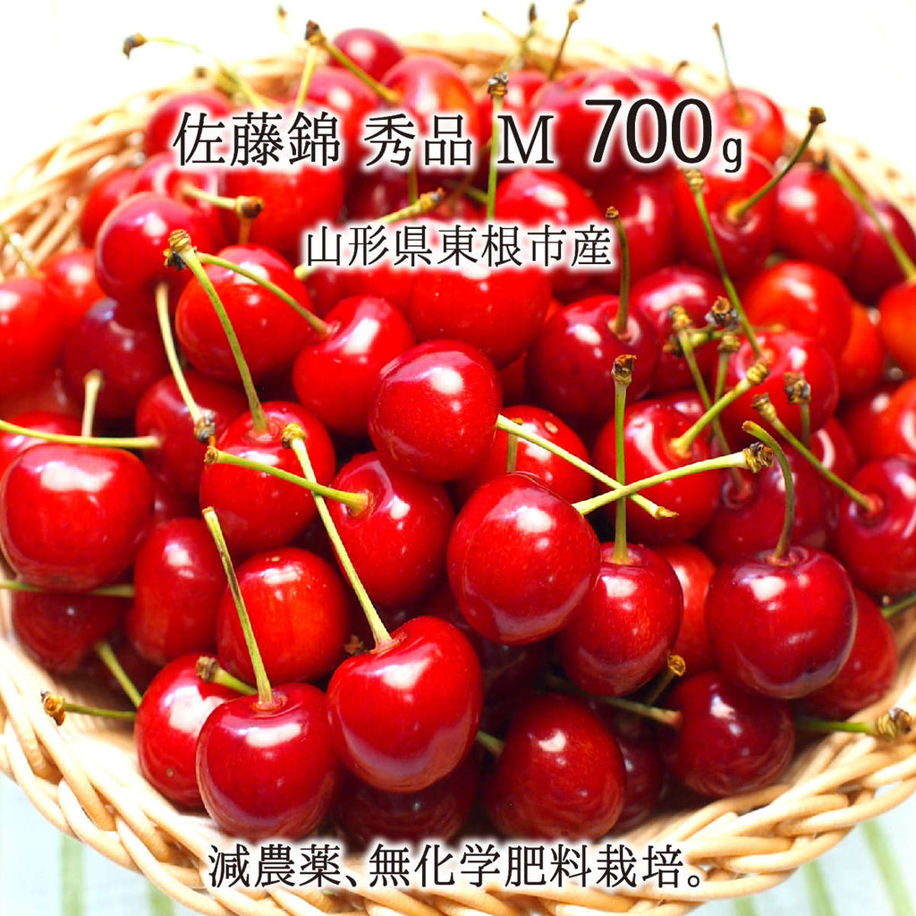 佐藤錦 秀品 M 1kg 特別栽培 さくらんぼ 山形県東根市産 減農薬 佐藤錦 秀品 M 1kg 特別栽培 さくらんぼ 山形県東根市産 減農薬