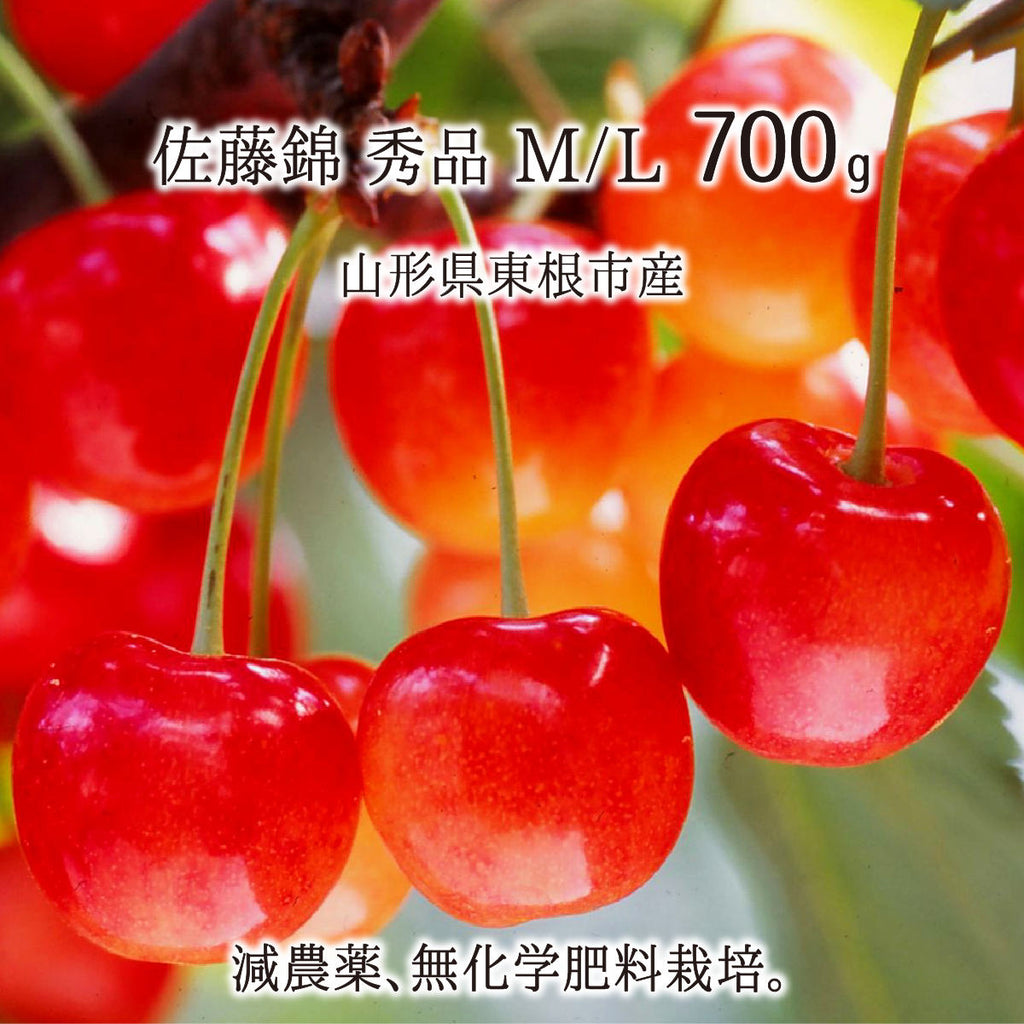 極限まで農薬減らしました減農薬栽培山形県産さくらんぼ❣️佐藤錦双子ちゃん2キロ 佐藤錦 訳あり(色ムラ・色薄) 1kg 特別栽培 さくらんぼ 山形県