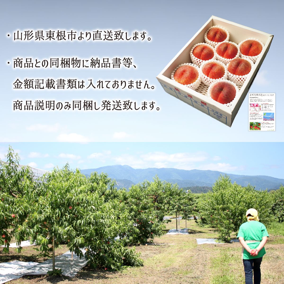 山形産地直送 『ネクタリン×2箱』1箱箱込約3~3.5キロ  減農薬栽培 ygtk_tsuchida_041_25147ec0-