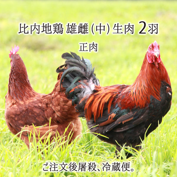 akhn_t_hina3_om_m_02_3d63c824-
