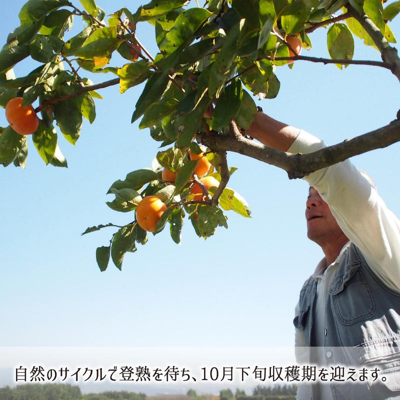 富有柿,減農薬