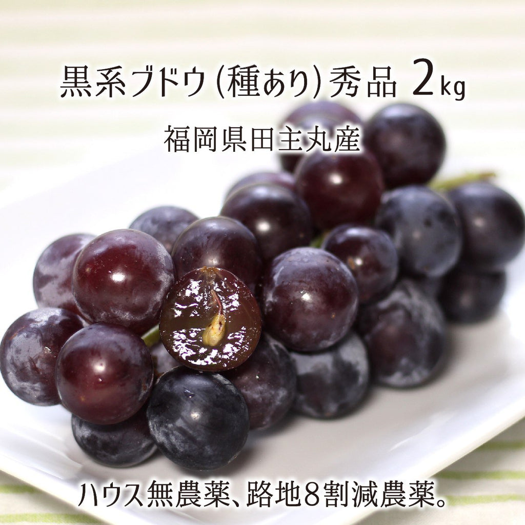 完璧わいふによる fonk_t_bu_kro_shu_02_f9811d9c- 農学
