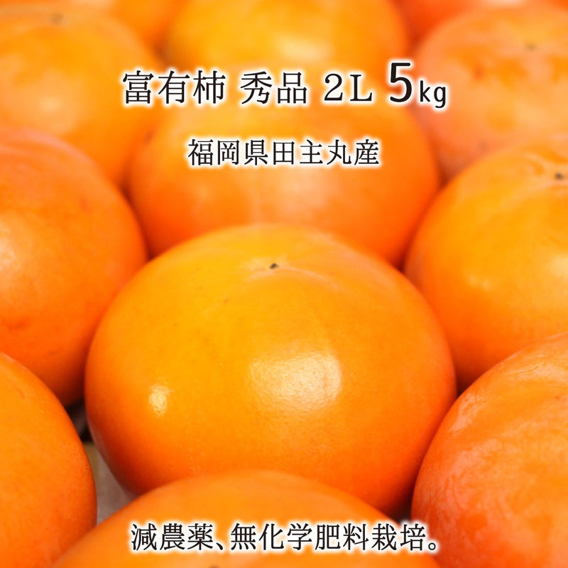 富有柿,5kg