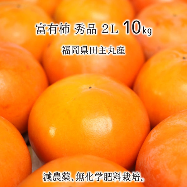 富有柿,10kg