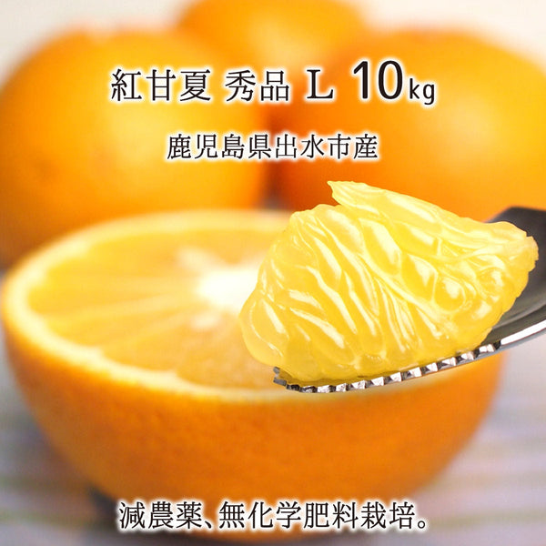 甘夏,10kg