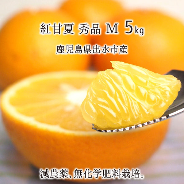 甘夏,5kg