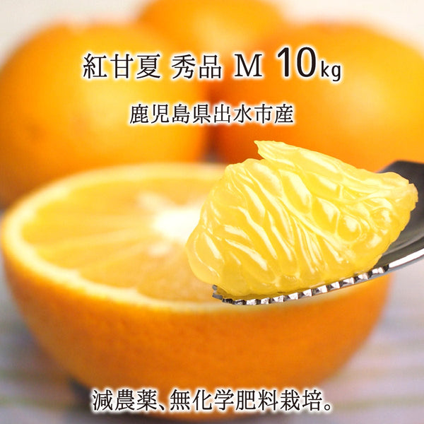 甘夏,10kg