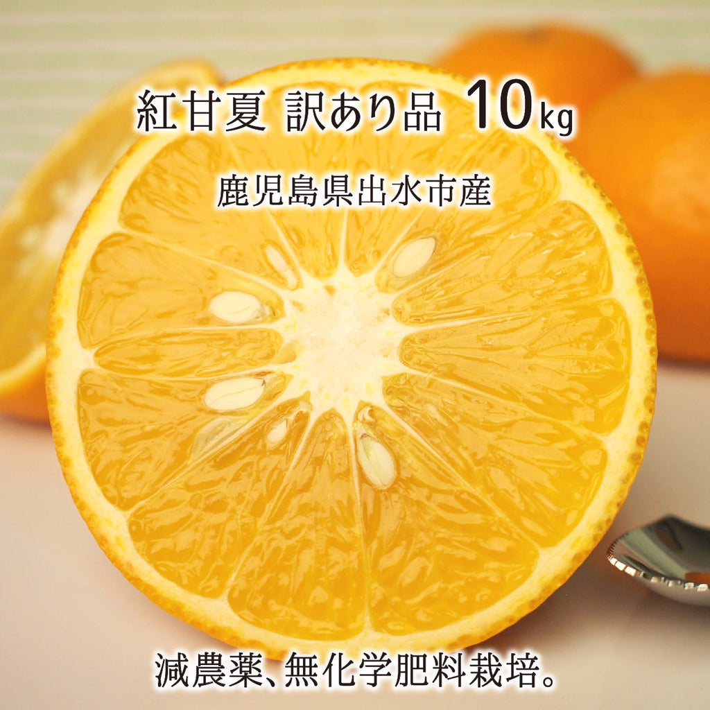 【楽天ランキング1位】 紅甘夏 訳あり サイズ混載 10kg 鹿児島県出水市産 減農薬 無化学 果物