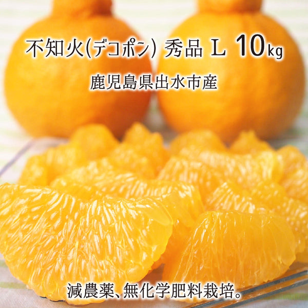 減農薬・有機肥料栽培の鹿児島県産不知火(デコポン)