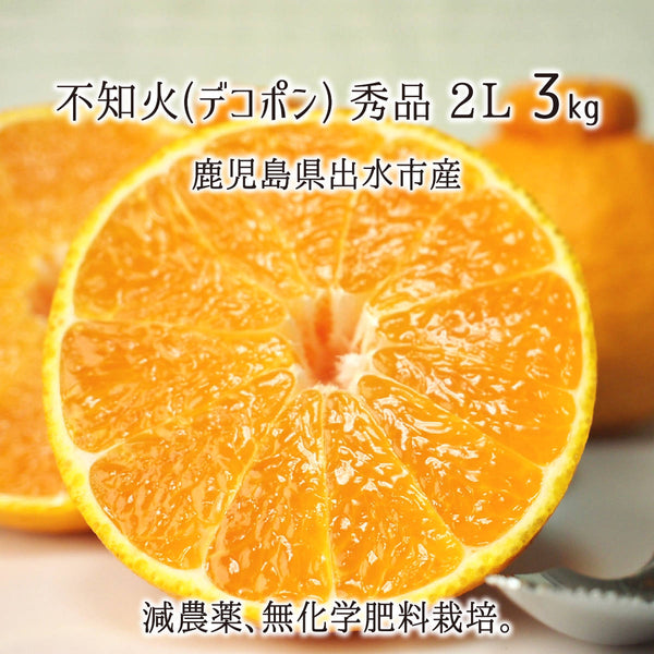 減農薬・有機肥料栽培の鹿児島県産不知火(デコポン)