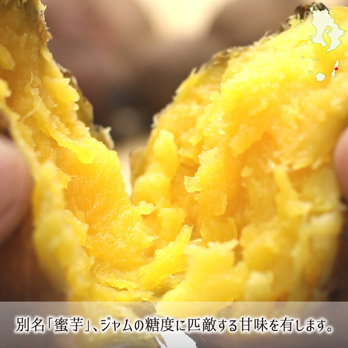 安納黄金芋 秀品 L 15kg 種子島 鹿児島県中種子町産 1ヶ月以上貯蔵熟成