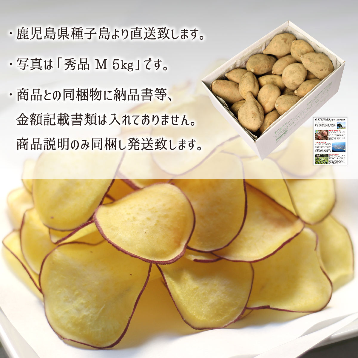 安納黄金芋 秀品 L 5kg 種子島 鹿児島県中種子町産 1ヶ月以上貯蔵熟成