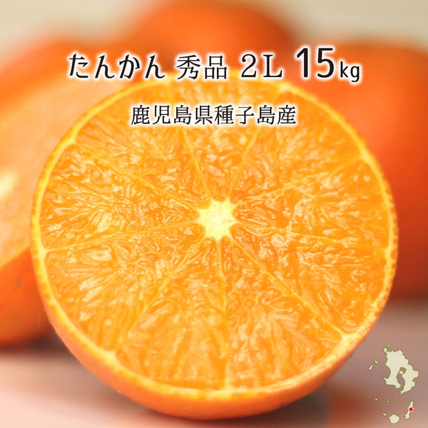 色々な たんかん 秀品 15kg 2Lサイズ 鹿児島県種子島産 タンカン 2月 果物