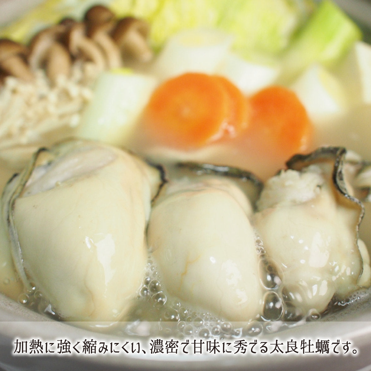 真牡蠣 M 10kg 生食可 佐賀県太良町竹崎産 活 殻付き (体重50～110g