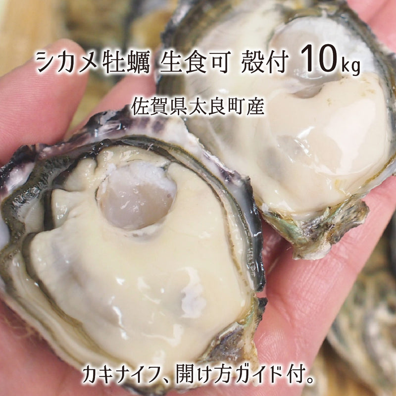 牡蠣,10kg