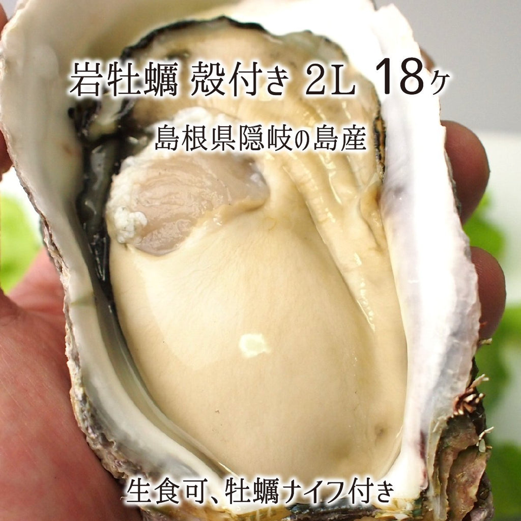 約7kg　岩カキ　18個　岩牡蠣(生食可)　カキナイフ付　(体量351～400g、殻長15～20cm)　島根県隠岐の島産　2Lサイズ　産直むすび　5月下　–