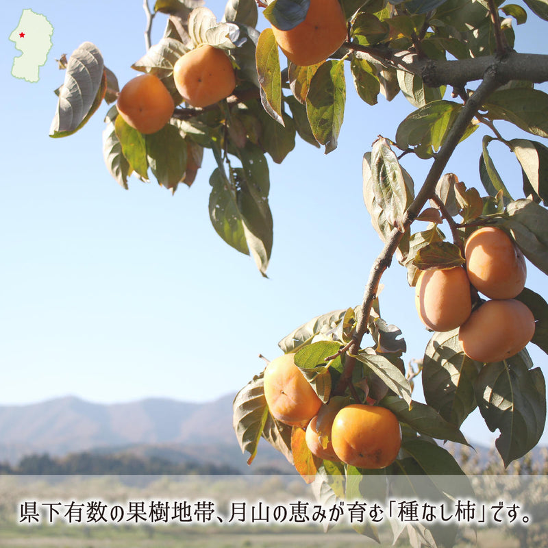 山形県下有数の果樹地帯で育まれる月山の恵み庄内柿
