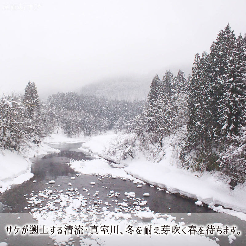 山菜採取地は手つかずの自然が残る山形県最北の豪雪地