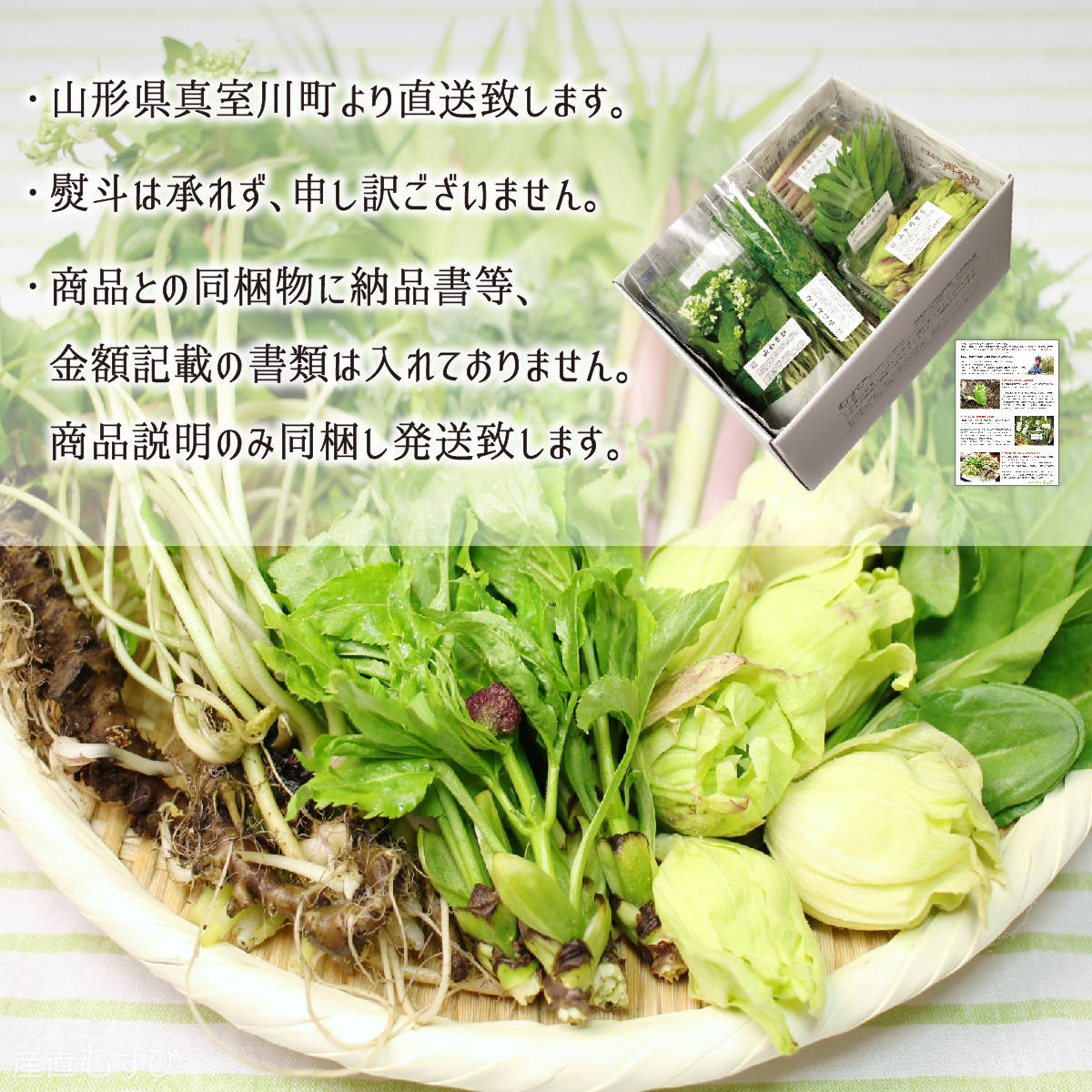 天然 赤みず 600g＋山菜4～6種 合計1.5～2.0kg 山形県真室川町産 5月