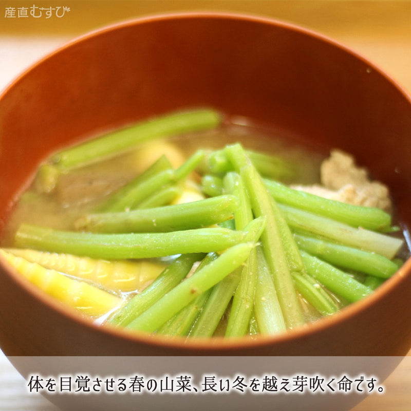 山形県最北地で芽吹くとびきりの天然山菜「赤みず」