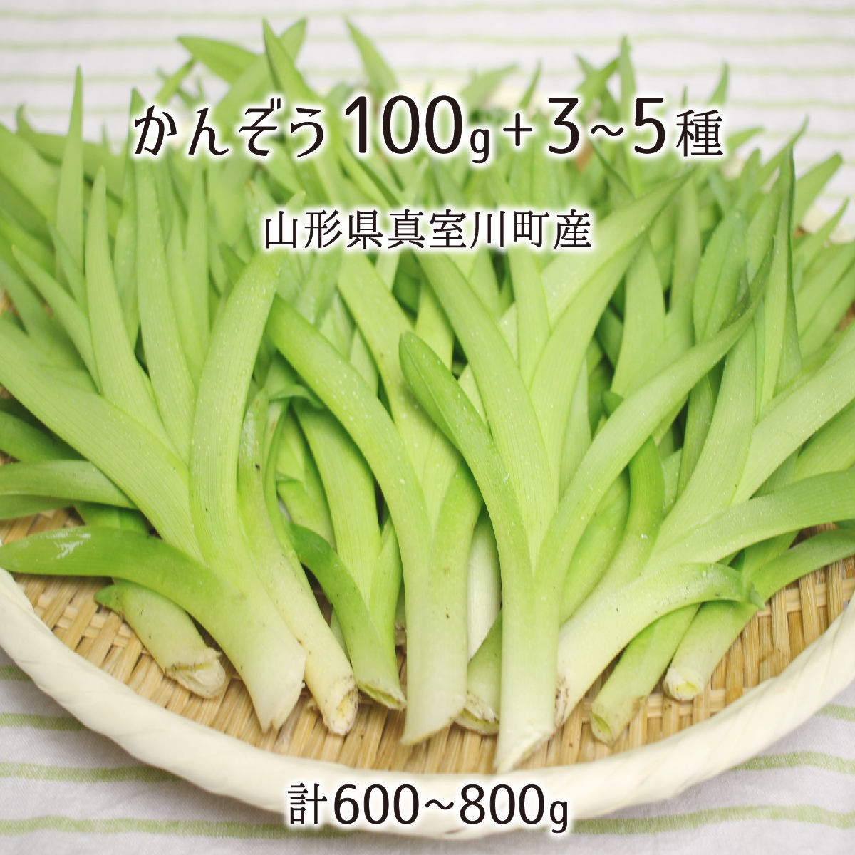 山菜(山形産) – 産直むすび