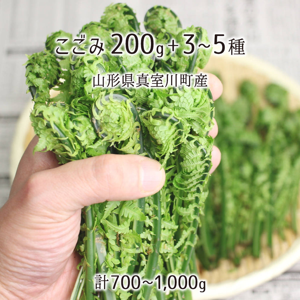 最適な材料 ygsm_t_san_kogo_01_1024x.jpg?v 野菜