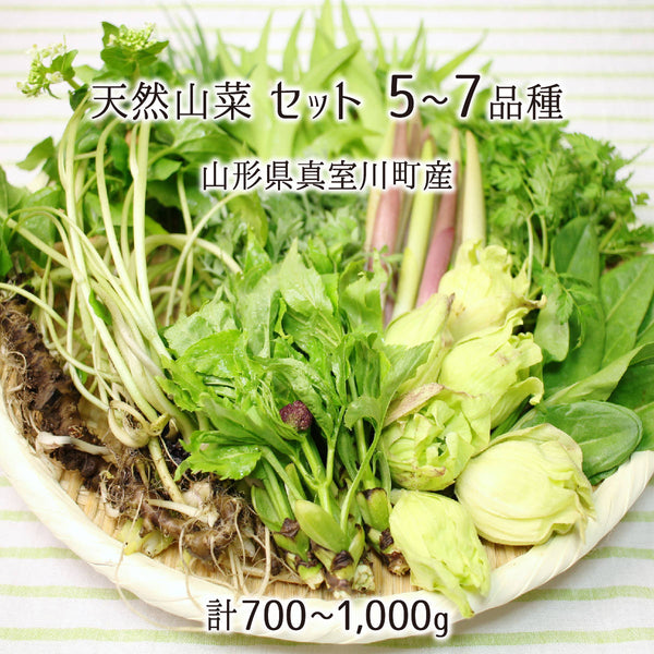 多様な ygsm_t_san_set_01_600x600_crop 野菜