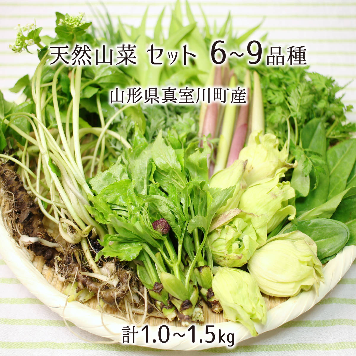 予約】厳選 東北産 山菜セット B 1kg (山菜4種類以上保証) 春の