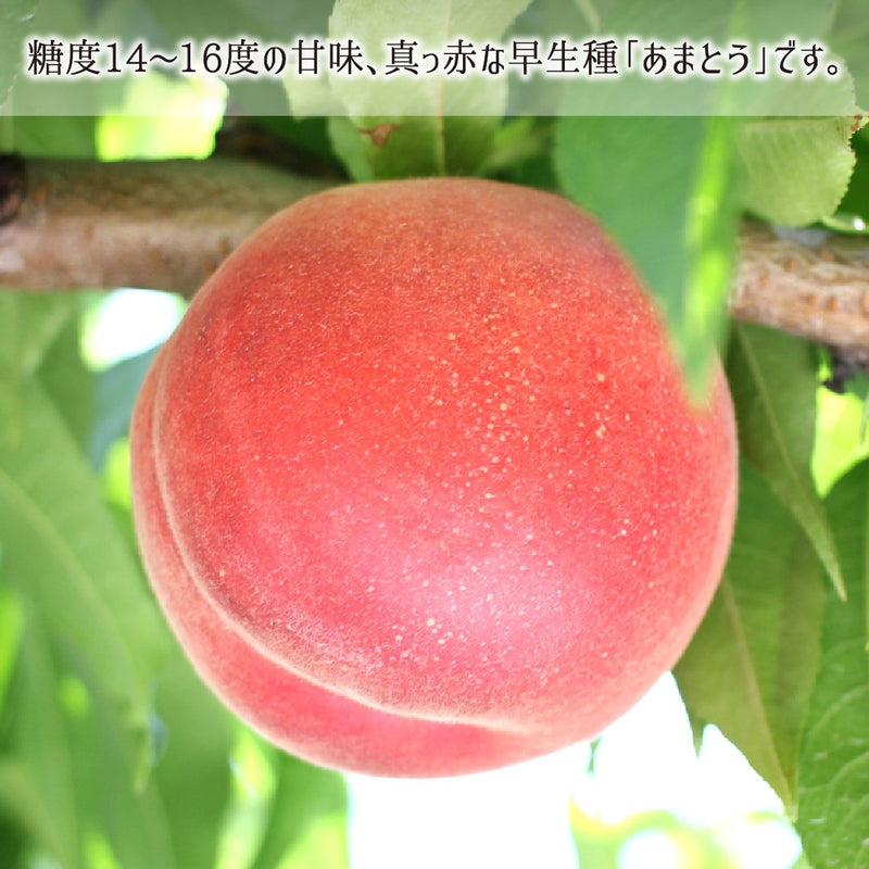 桃,特別栽培