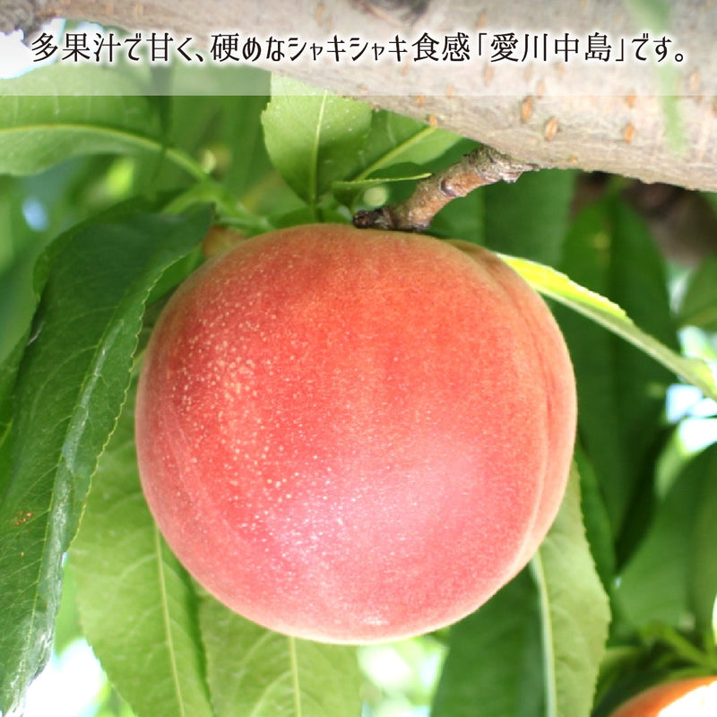 桃,特別栽培