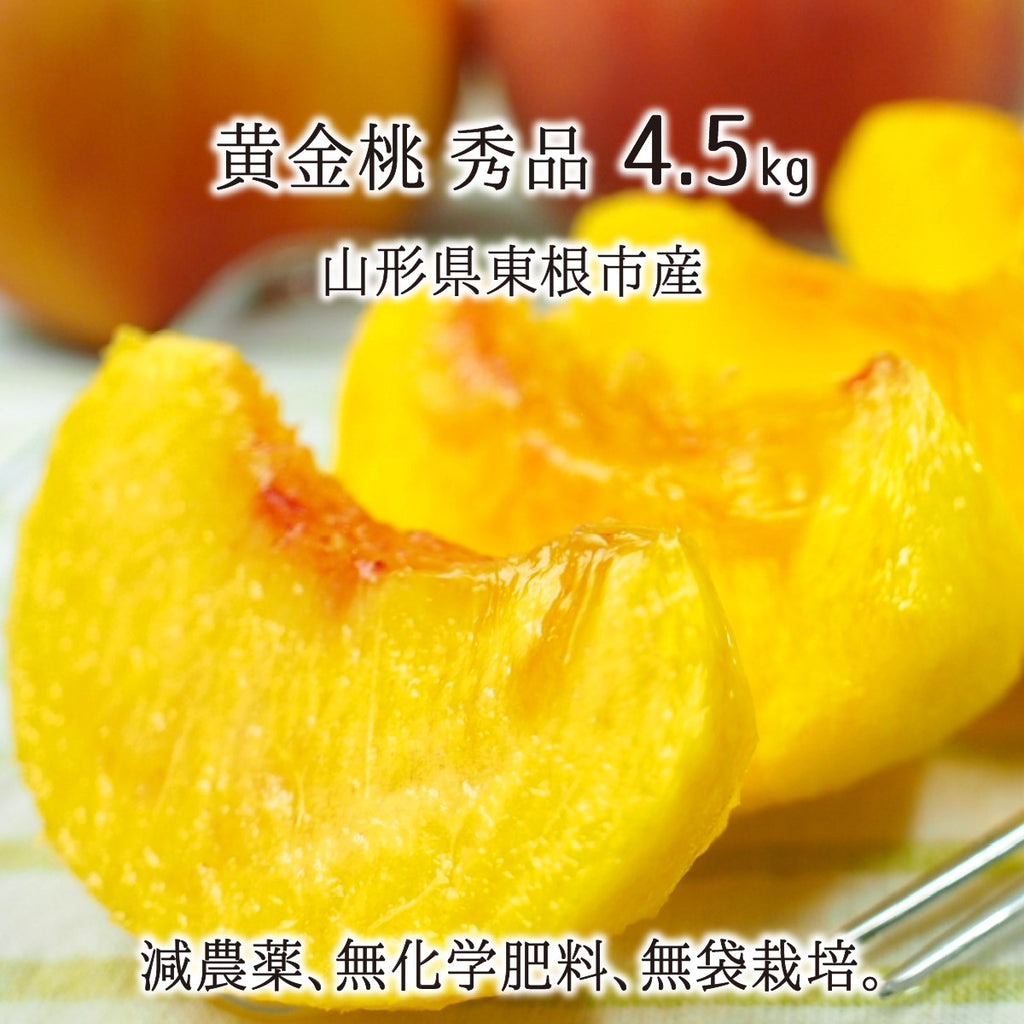 今日の超目玉】 摘果マンゴー 12.5kg - 食品